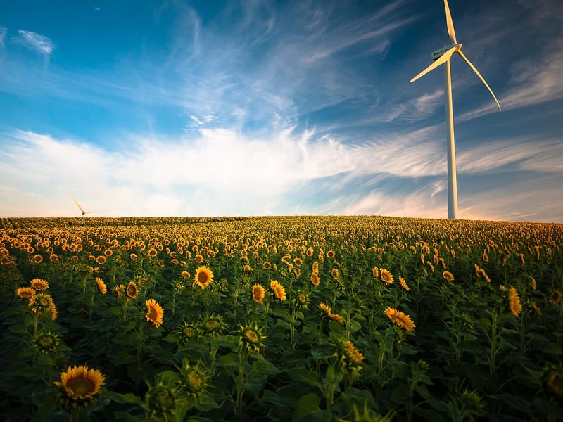 Wind Farm